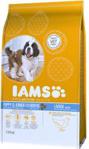 IAMS ProActive Health Puppy & Junior Large Breed kurczak 12 kg