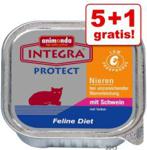 Integra Protect Intestinal 6x100G