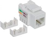 INTELLINET MODUŁ KEYSTONE RJ45 UTP CAT.5E, BIAŁY () BIAŁY (210355)