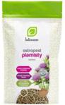 Intenson Ostropest Plamisty Ziarno 500G