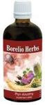 Inwest Borelio Inwent Herbs 100Ml
