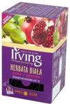 Irving Herbata biała granat z agrestem 30 g (20 torebek)