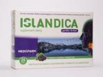 Islandica 24 past.