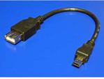 Kabel USB mini(5pin) - A 0.2m