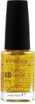 kinetics Cuticle Oil Orange Pomarańczowy olejek do skórek i paznokci