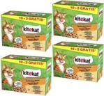 Kitekat Delikatne Dania W Sosie 48X100G