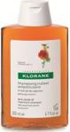 Klorane Capucine Anti-Dandruff Shampoo szampon przeciw suchemu łupieżowi 200ml