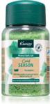 Kneipp Cold Season Eucalyptus Sól Do Kąpieli Z Minerałami 500 G