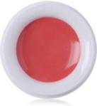 Korres Lip Butter Pot Balsam do ust Pomegranate 6g