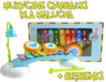 Lean Toys Muzyczne cymbałki + bębenek + nutki dla malucha