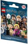 LEGO Harry Potter 71022 Minifigures