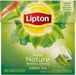 Lipton Fresh Nature Herbata zielona aromatyzowana 28 g (20 torebek)