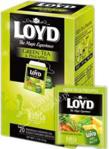 Loyd Tea zielona o smaku Ananasa 20x1,7g