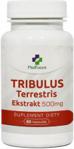 Medfuture Tribulus Terrestris Ekstrakt 60 Kapsułek