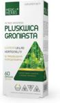 Medica Herbs PLUSKWICA GRONIASTA 350mg 60 kaps