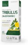 Medica Herbs Tribulus Buzdyganek 700Mg 60Kaps