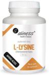 Medicaline Aliness L-Lysine 500mg 100kaps Budulec Tkanek I Odporności