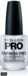 Mollon Pro Express Dry Gloss Effect 15Ml