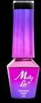 molly lac LAKIER HYBRYDOWY ELITE WOMEN HEARTBREAKER 5ml Nr 47