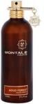 Montale Aoud Forest woda perfumowana 100ml tester