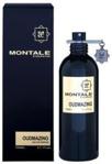 Montale Oudmazing Woda Perfumowana 100ml