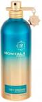 Montale Paris Day Dreams woda perfumowana 100ml