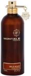 Montale Wild Aoud Woda Perfumowana 100ml Tester