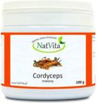 Nat Natvita Cordyceps Sinensis Grzyb Proszek 100G