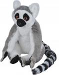 National Geographic Lemur