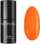 NEONAIL lakier hybrydowy 6951-7 Summer Hero 7,2ml