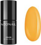 NEONAIL Lakier Hybrydowy Autumn Sun 7,2ml