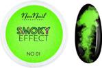 NEONAIL Pyłek Smoky Effect 01 2g