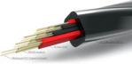 Neotech NEMOS-3080 - Kabel głośnikowy miedź UP-OCC (1mb)