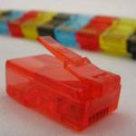 NETRACK wtyk RJ45 8p8c UTP linka, kat. 5e (100 szt) (105-50)