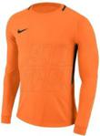 Nike Bluza bramkarska Dry Park III LS M 894509-803