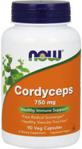 Now Cordyceps 90Cps