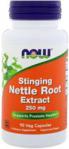 Now Foods Nettle Root Extract 250Mg 90 Kaps