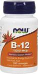 Now Foods Now B-12 1,000Mcg 100 tabs