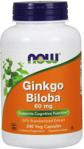 Now Foods Now Ginkgo Biloba 60 mg 240Veg caps