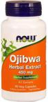 Now Foods Ojibwa 41 Extract 450 mg 90 kaps.
