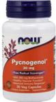 NOW FOODS Pycnogenol 30mg 30kaps.