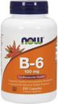 Now Foods Witamina B-6 100 mg 250 kaps.