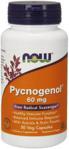 Nowfoods Pycnogenol 60mg 50 kaps