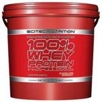 Odżywka białkowa Scitec 100% Whey Protein Professional 5000G