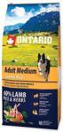 ONTARIO ADULT MEDIUM LAMB AND RICE HYPOALERGICZNA12kg