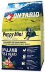 ONTARIO PUPPY MINI Lamb AND RICE HYPOALERGICZNA 2,25kg