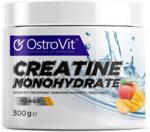 Ostrovit Creatine 300 G