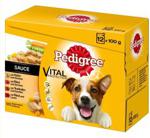 Pedigree Adult Saszetki W Galarecie 48X100G