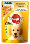 Pedigree Junior Saszetka 100G