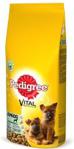 PEDIGREE Vital Protection Junior duże rasy z kurczakiem 2x15kg